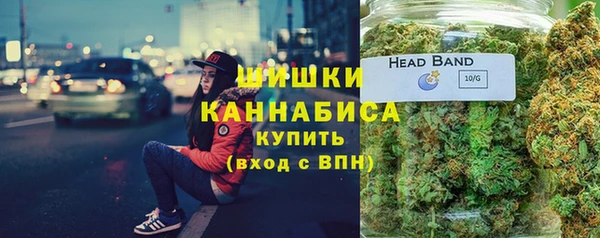 PSILOCYBIN Абдулино
