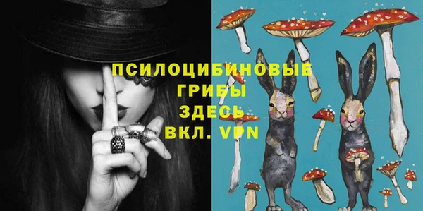 PSILOCYBIN Абдулино