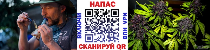 Шишки марихуана конопля  Трубчевск 